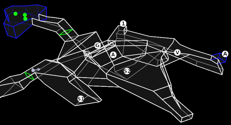 level 16